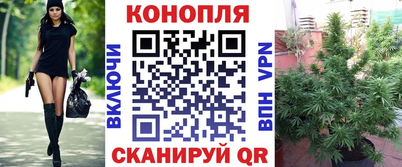 Бошки марихуана SATIVA & INDICA  Снежногорск 